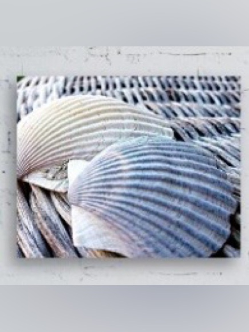 “Coastal Living in Newport RI” 16x20” Canvas Print Signed by Artist White/Beige - Picture 2 of 7